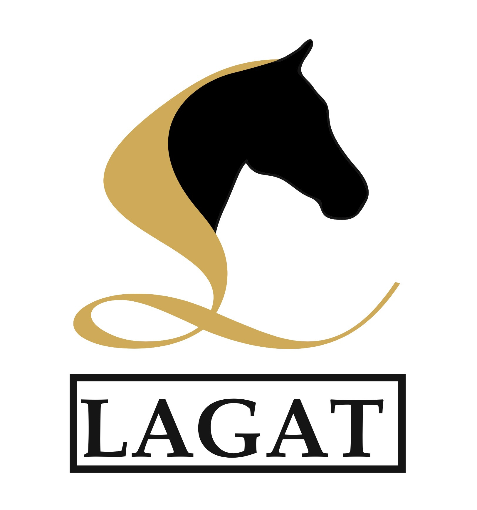 Lagat